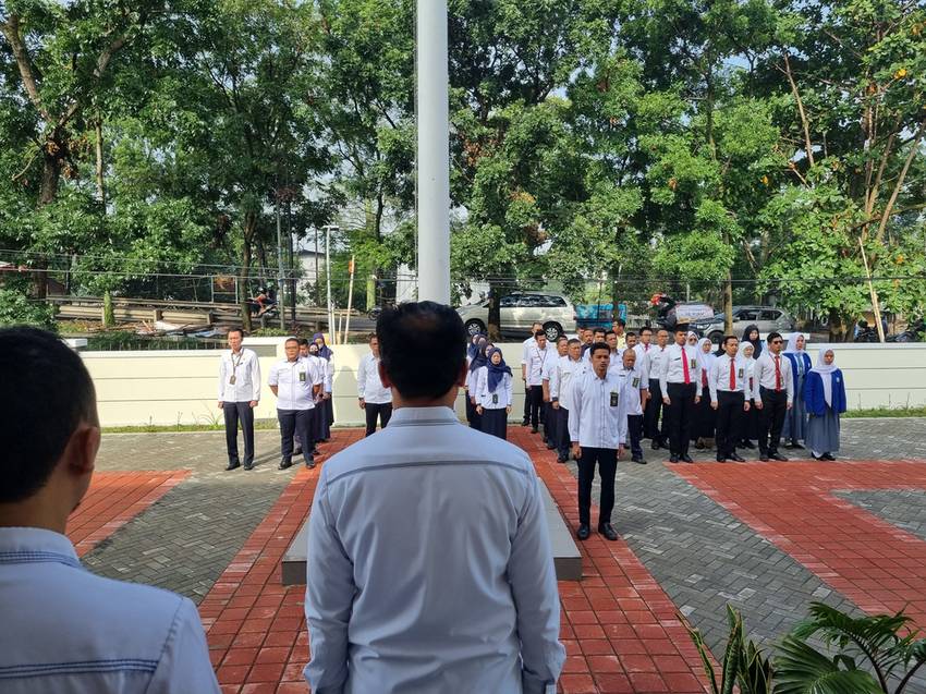 Pi7compressed20241125apel2.jpg